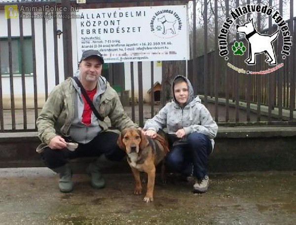 Állatbarátok Szja egy százalék felajánlásának is köszönhetően Andro szerető Gazdihoz került